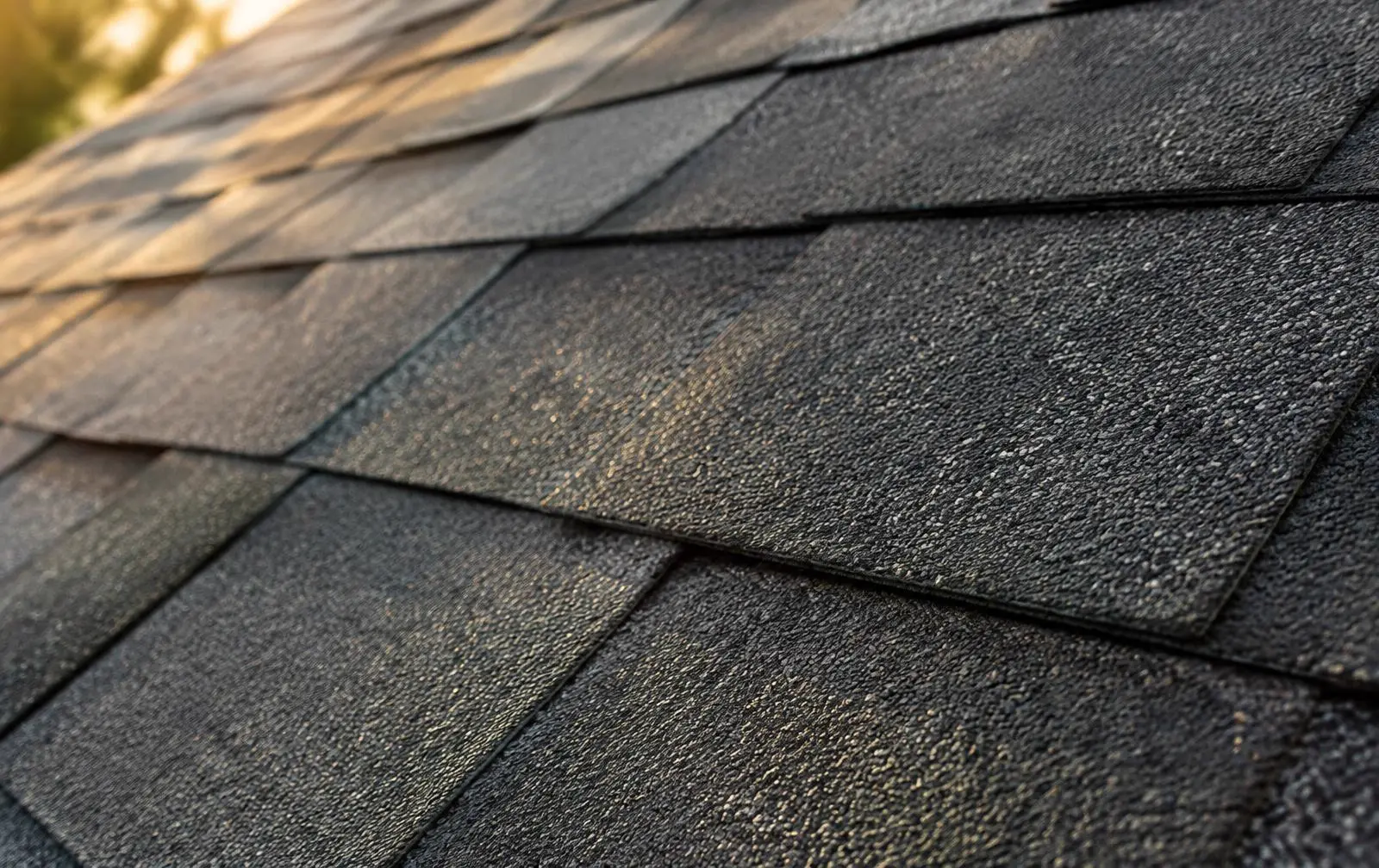 Close-up of charcoal architectural asphalt shingles in warm light
